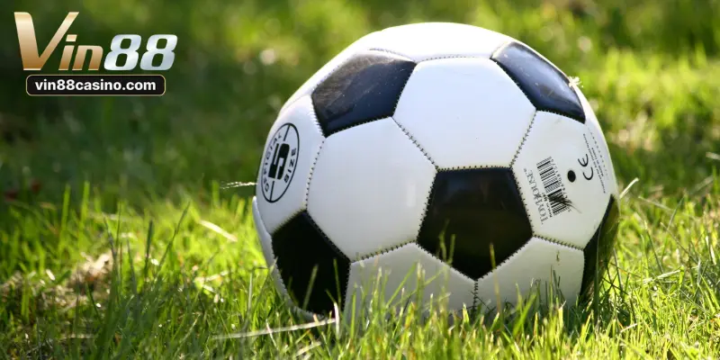 Phần lớn các thông số của trận đấu đều được mang ra chơi cược rung